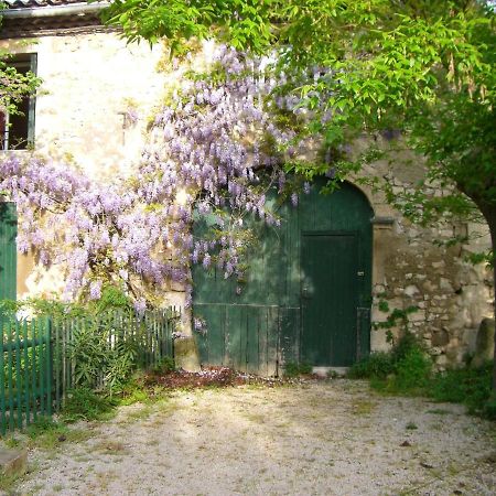 Maison Charmante Avec Terrasse Et Jardin A Noves Eksteriør bilde